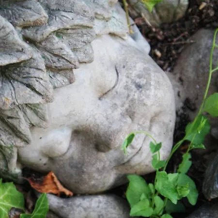 בית כפרי Les Jardins De La Contie