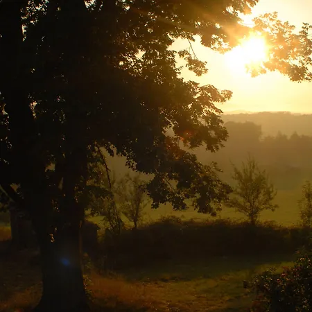 Les Jardins De La Contie * Lunan