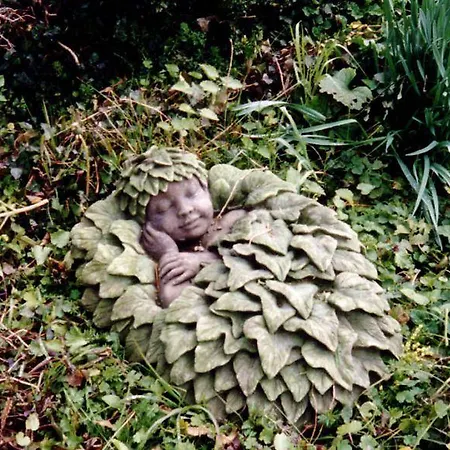 Les Jardins De La Contie