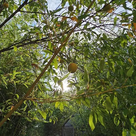Hétvégi ház Les Jardins De La Contie