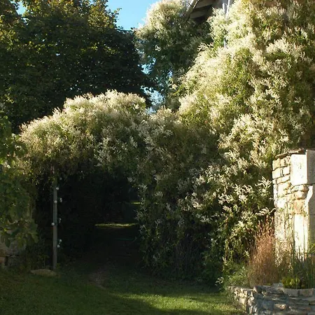 Les Jardins De La Contie