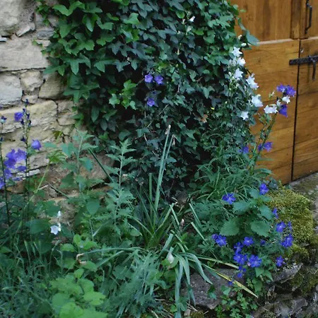Gospodarstwo wiejskie Les Jardins De La Contie