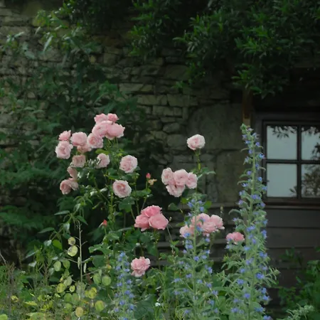 Les Jardins De La Contie *