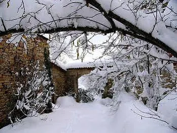 Les Jardins De La Contie