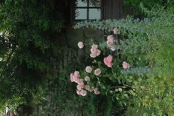 Les Jardins De La Contie Lunan