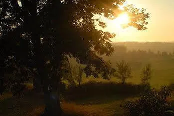 Les Jardins De La Contie Lunan