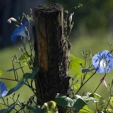 Les Jardins De La Contie * Lunan