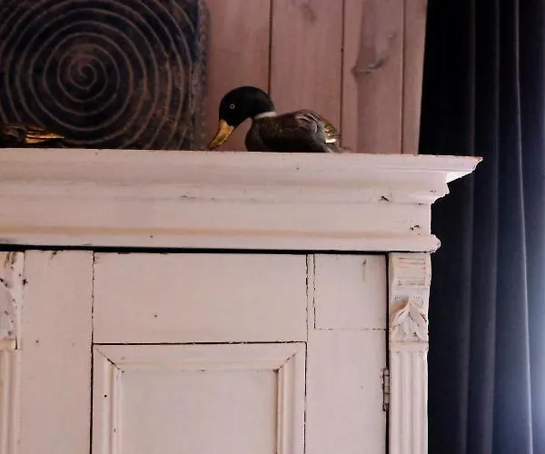 拉康泰莱斯贾丁斯乡村民宿