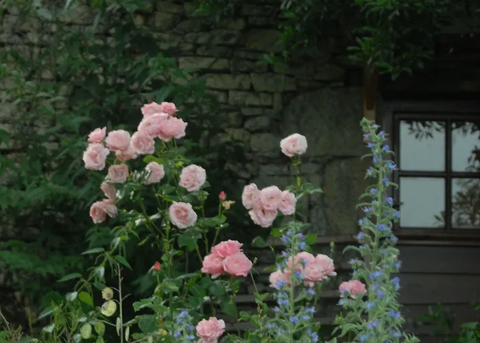 拉康泰莱斯贾丁斯乡村民宿 *